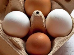 Zabawa zaczęła się rzucaniem jajkami i warzywami, a skończyła na kamieniach