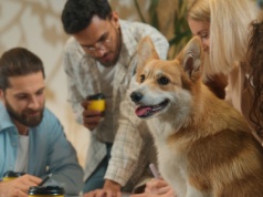 Pupil na fakturę. Zwierzęta w kosztach działalności to wcale nie rzadkość. „U mnie w firmie pies jest zgłoszony jako stróż”