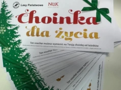 Świąteczna akcja Lasów Państwowych. Choinki dla honorowych dawców krwi