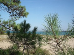 Turystów tu prawie nie ma. Ukryta plaża między wydmami z wodą jak na Malediwach