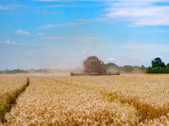 Chów klatkowy, monokultury i chemia. Gwoździe do trumny polskiej wsi