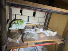 W piwnicy zamiast przetworów ukrywał narkotyki