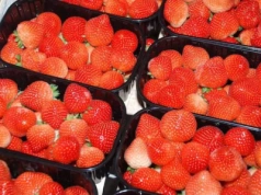 Flaga kraju pochodzenia na owocach, lepsze znakowanie przetworów i miodu. Zmiany prawne wchodzą w życie w lutym przyszłego roku