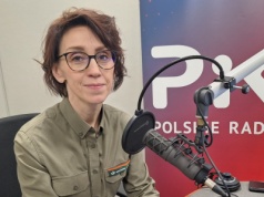 Leśnicy ostrzegają przed choinkami z importu. „Z nimi docierają do nas szkodniki i choroby