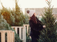 W sklepach sieci Castorama choinki na święta będzie można… wypożyczyć!