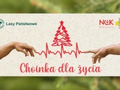 „Choinka dla Życia” – Oddaj krew i odbierz świąteczne drzewko