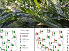 Jaka będzie zima 2026? Jaki marzec, kwiecień? 4-miesięczna prognoza pogody wg IMGW-PIB