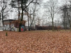 Park Kościuszki w końcu będzie miał toaletę. Ma kosztować ponad 300 tys. złotych