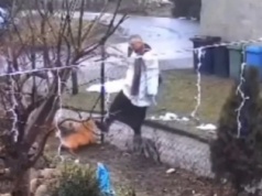 Szokujące sceny pod Braniewem. Ksiądz zaatakował psa. Jest oświadczenie archidiecezji