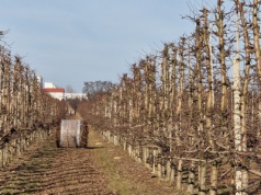 Mercosur. Sukces czy podstęp?