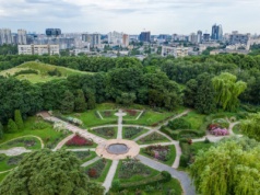 Umieramy przedwcześnie. Drzewa mogą to zmienić