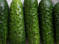 Ogórki z Indii to tylko wierzchołek problemu. Prawdziwa konkurencja rośnie tuż za polską granicą