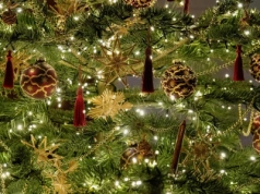 W tym sklepie wypożyczysz choinkę. To nie żart