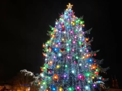 Siedlecka choinka po metamorfozie zachwyca mieszkańców. „Dlaczego tak nie można było od razu?” – pytają siedlczanie