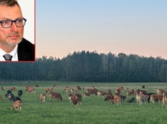 Produkcja bydła mięsnego w Polsce ma wielkie możliwości