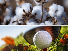 Pole golfowe na grobach niewolników plantacji bawełny. Kontrowersyjna decyzja władz stolicy Florydy