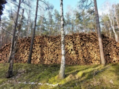 Tyle trzeba zapłacić za drewno do kominka w grudniu. Tu kupisz je najtaniej