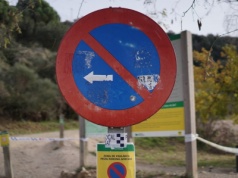 Hiszpania. Pierwsze przypadki pomoru świń od 30 lat. Rolnicy biją na alarm