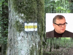 Sałek: "To jest dobicie przyrodnicze tego terenu"