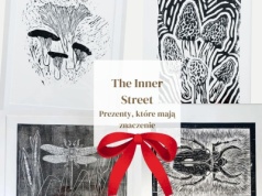 Towarzystwo Psychoprofilaktyczne na Świątecznym Pikniku w Gemini Park