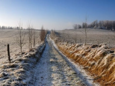 Po raz pierwszy od dłuższego czasu pojawi się śnieg. Spadnie w konkretnym rejonie Polski