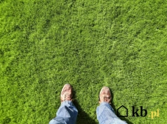 Rozsypałem popiół na trawniku. Efekt po kilku tygodniach mnie zaskoczył