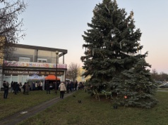 Mieszkańcy osiedla Ogrody rozświetlili żywą choinkę