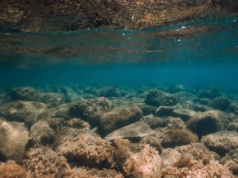 Gigantyczny magazyn dwutlenku węgla pod oceanem. Może zmieniać klimat Ziemi