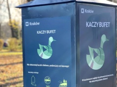 Tu znajdziesz „kacze bufety” w Krakowie. Ptaki czekają na pomoc zimą