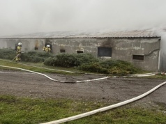 Makabryczny pożar we Wrzosach. Tysiące zwierząt spłonęło