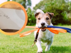 Napisali do sąsiadki list w sprawie psa. Niesamowita reakcja kobiety