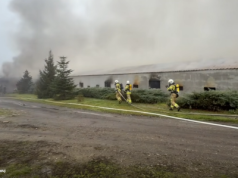 Pożar kurnika na Śląsku. Spłonęło tysiące kurczaków