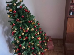 Choinka wygląda jak karzeł? Prosty trik optycznie ją powiększa, w domu znów czuć magię świąt