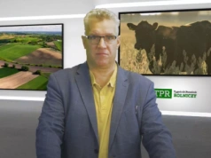 Zakaz mięsa w szkolnych stołówkach? Tak mają wyglądać obiady od 2026 roku