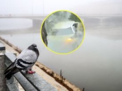 Niecodzienny wypadek we Wrocławiu. Auto zanurkowało w fosie