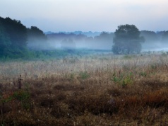 Szkielet sprzed 6200 lat skrywa mroczny sekret. Młody człowiek przeżył atak bestii