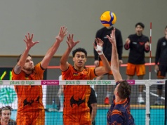 Nietoperze nie doleciały do punktów