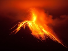 Naukowcy wskazują na zaskakującą przyczynę epidemii dżumy. „Jedna z największych katastrof ludzkich”