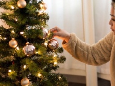 Choinka nie zawsze była powszechna. Dawniej stawiali ją tylko najbogatsi?