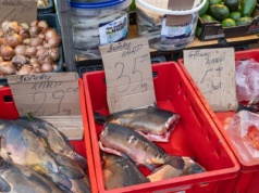 Ile kosztuje karp? Tyle zapłacisz za rybę na chwilę przed świętami