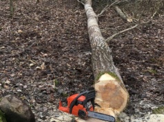 Śmiertelny wypadek przy wycince. Drzewo uderzyło kobietę