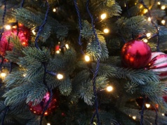 Święta bez zimy? Prognozy nie dają dużych szans na biały Boże Narodzenie