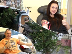 Oddaj krew i odbierz choinkę! Świąteczna akcja leśników i centrów krwiodawstwa