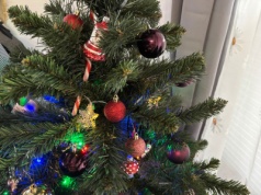 Wystarczy spojrzeć na choinkę, by zgadnąć znak zodiaku. U nich aż bije to po oczach