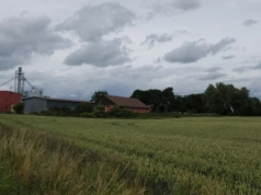 Dopłaty bezpośrednie po 2027: limity od 20 do 100 tys. euro. Kto straci, a kto zyska?