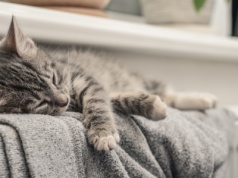 Ostatni dzwonek na bon ciepłowniczy. 15 grudnia kończy się termin składania wniosków