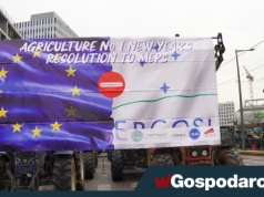 Gra z czasem w sprawie umowy z Mercosur