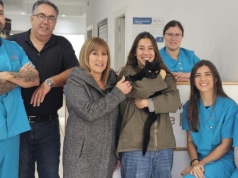 Cud w El Rosario: Kot Oreo wrócił do domu po 7,5 roku