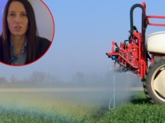 Uproszczenia w biurokracji coraz bliżej. Omnibus ma odciążyć branżę i rolników