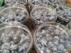 Chilijskie superowoce? Chile rozpoczyna kampanię przypominającą działania promocyjne zrealizowane w Polsce